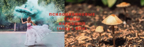 ГАЛЛЮЦИНОГЕННЫЕ ГРИБЫ Няндома