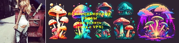 ГАЛЛЮЦИНОГЕННЫЕ ГРИБЫ Няндома