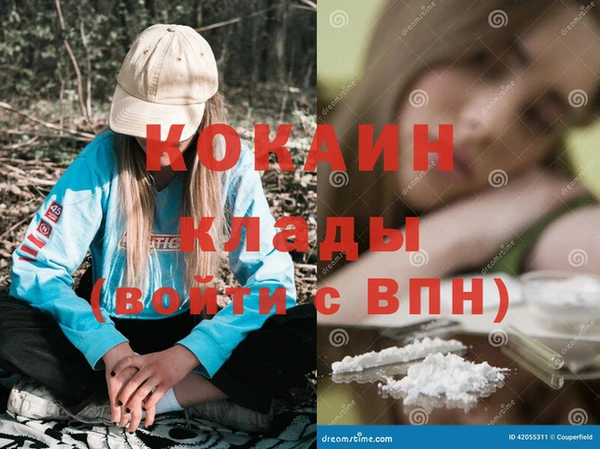 ГАЛЛЮЦИНОГЕННЫЕ ГРИБЫ Няндома