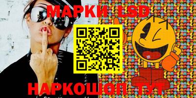 шишки Берёзовский