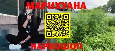 шишки Берёзовский